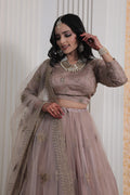 Golden Brown Elegance Lehenga