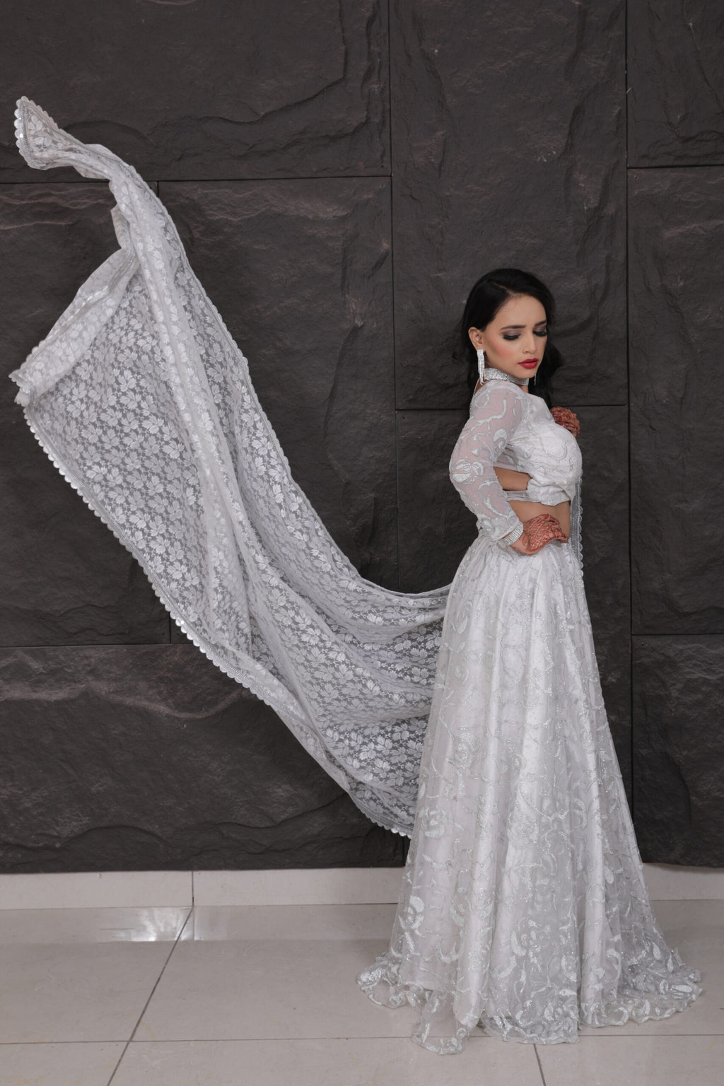 Stardust Serenity Lehenga