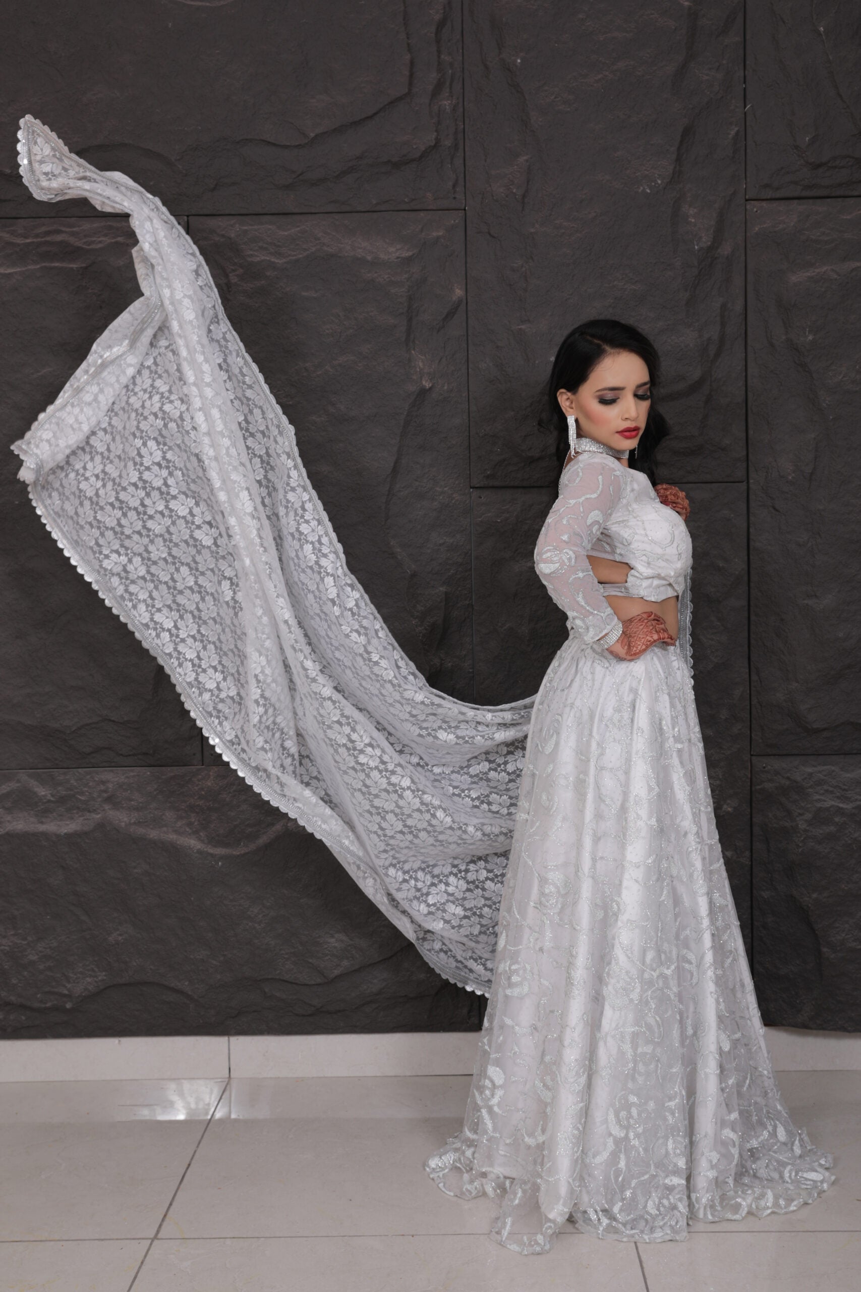 Stardust Serenity Lehenga